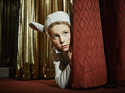 young boy dressed up as a sheep hides behind a curtain