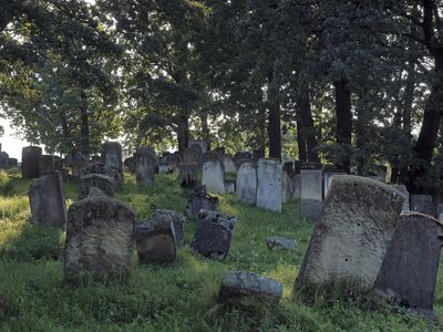 An image of a cemetery