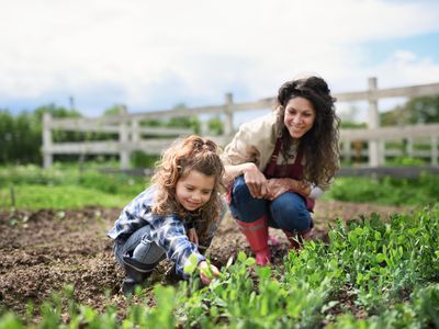 Front view of woman and small daughter working in vegetable garden on farm