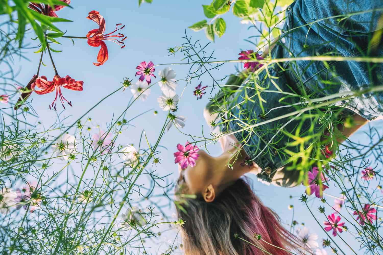 woman with long hair in flowers view from below