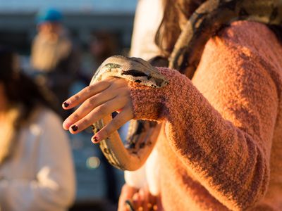 Close-Up Mid Section Of Woman Holding Python