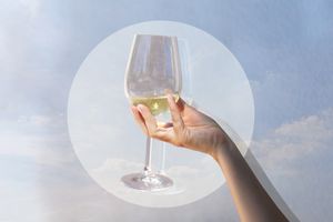 woman holding up wine glasses in a cloudy blue backgroubd