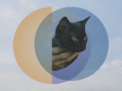 photo composite of a person holding a black cat