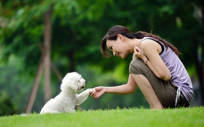 Woman Training Dog Shaking Hand and Communication- XXXXXLarge