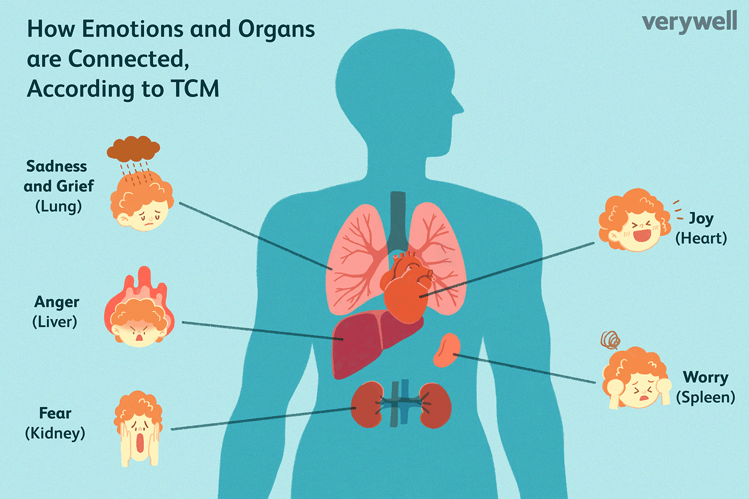 Emotions and organs in the body