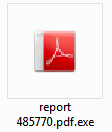 PDF EXE Icon attached