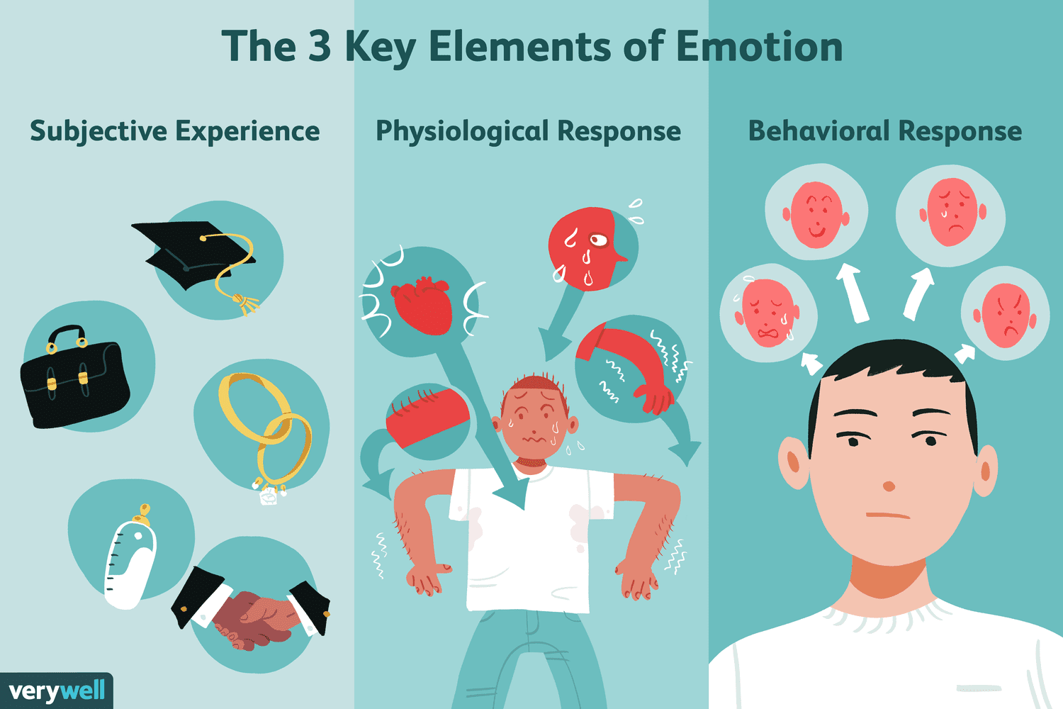 3 key elements of emotions